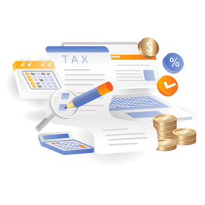 Financial audit and tax declaration